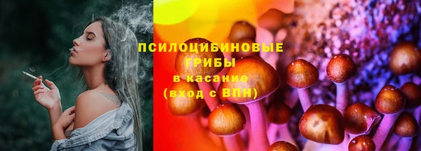 индика Богданович
