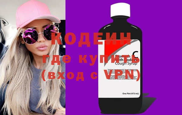 индика Богданович