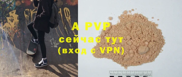 индика Богданович