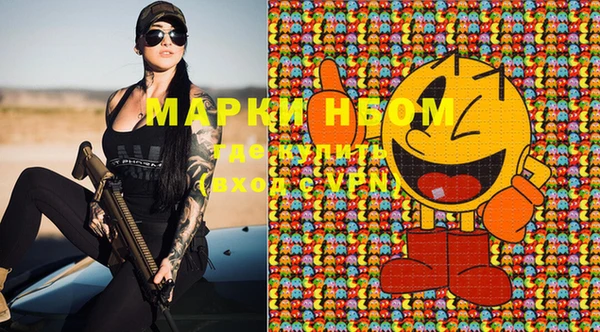 mix Богородицк