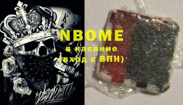 индика Богданович
