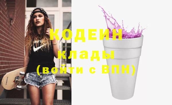 индика Богданович