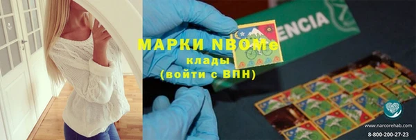 индика Богданович