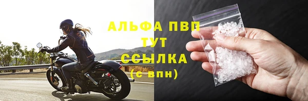 индика Богданович