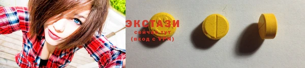 индика Богданович