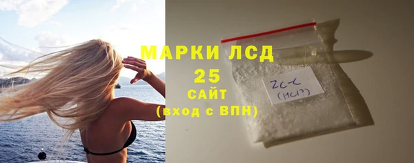 индика Богданович
