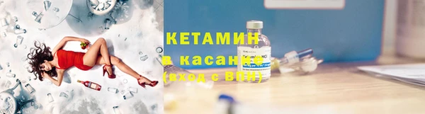 индика Богданович
