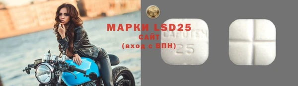 индика Богданович