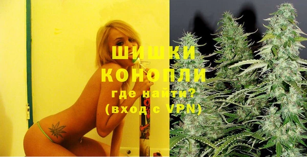mix Богородицк