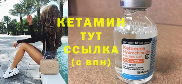индика Богданович
