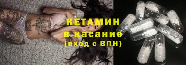 индика Богданович