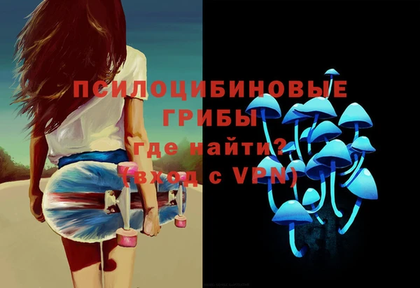 mix Богородицк