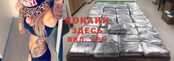 mix Богородицк